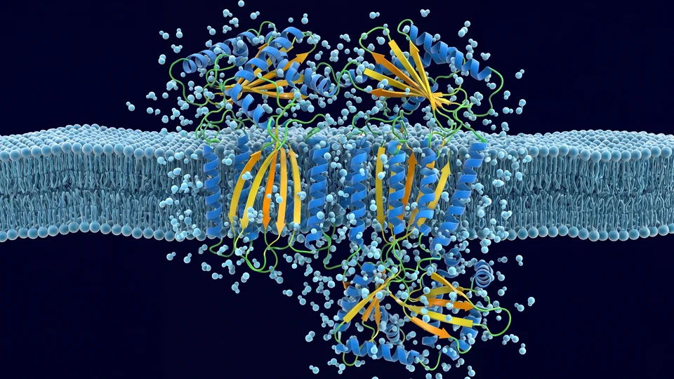 Scientific simulation visualization for NAMD
